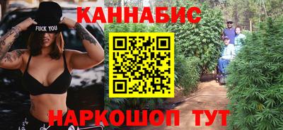 apvp Тулун