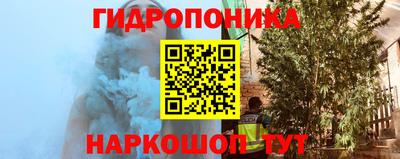 apvp Тулун