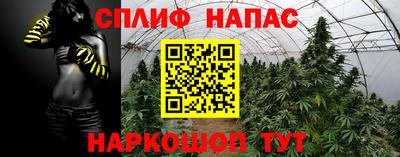 PSILOCYBIN Тверь