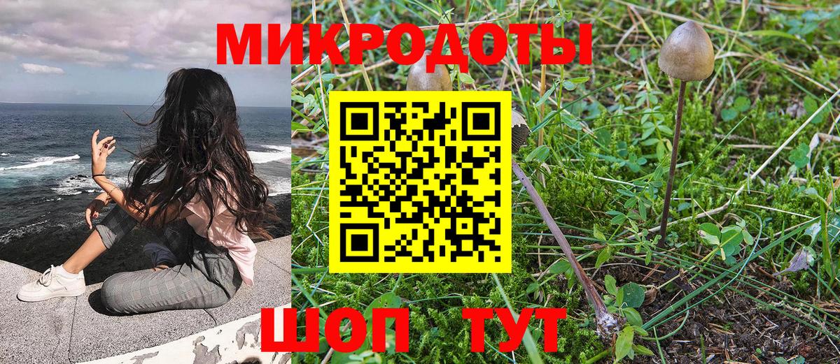 Галлюциногенные грибы Psilocybine cubensis Киселёвск
